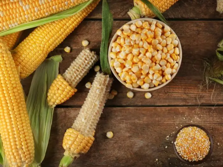 ما هي القيمة الغذائية للذرة اعرفها واحصل عليه مع افضل الاسعار